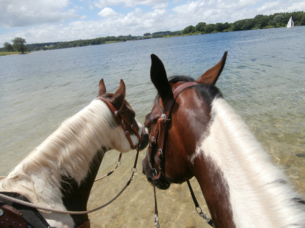 Codorus State Park Pennsylvania horseback riding trails