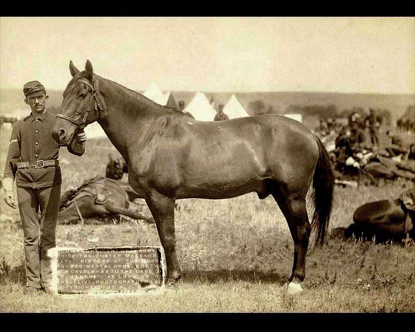 Comanche Public Domain