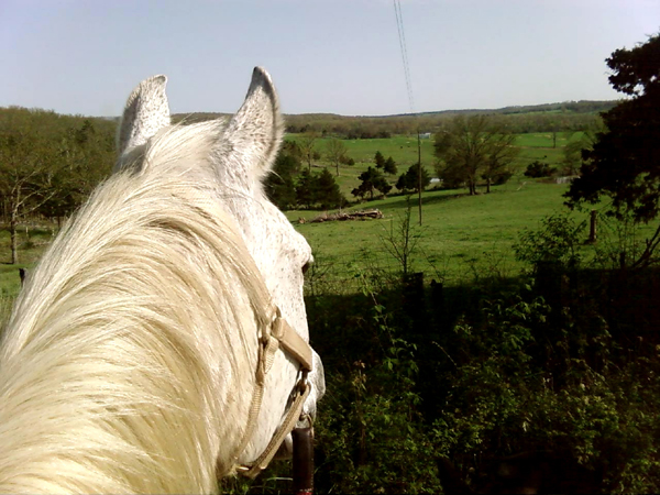 cory hill missouri horseback