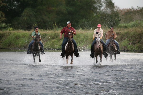 Costa rica horse riding