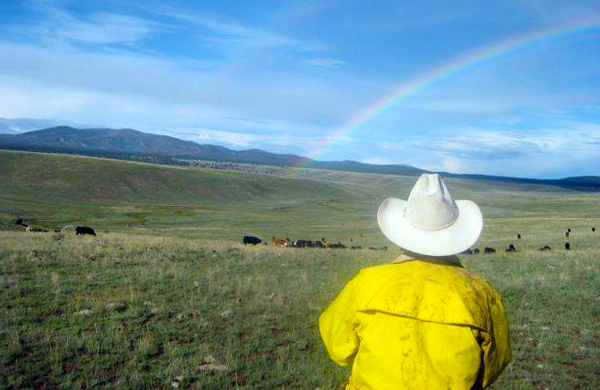 cowboy heaven n bar ranch nm