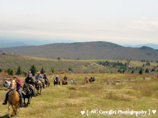 Mt Rogers horse riding