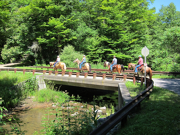 equestrians crossing bridge on thunder mountain trail