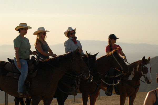 Horse ride through Griffith Park in the Hollywood Hills of California