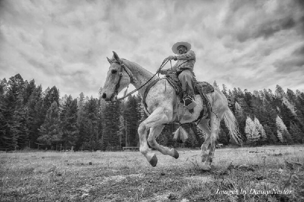 Danny Nestor loping cowboy