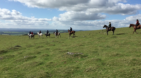 Dartmoor Derby UK horse riding