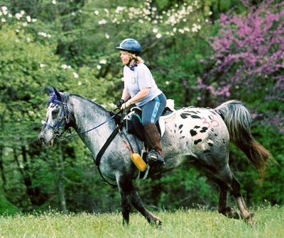 trail riding gear