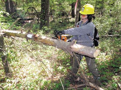 Trail builder Susan Stormer enjoys her equestrian career