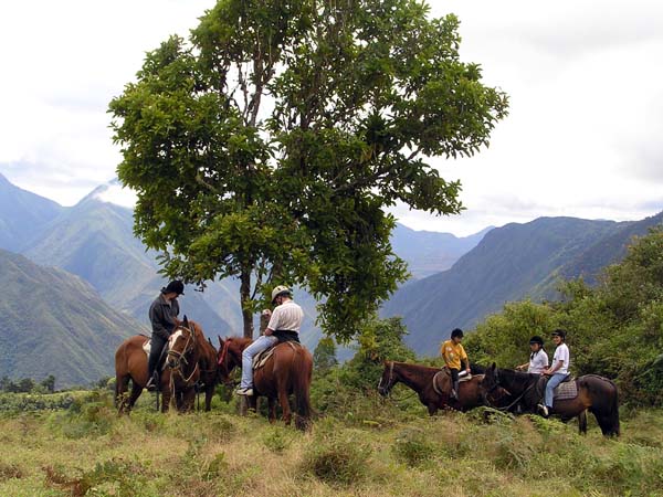 Ecuador horse riding