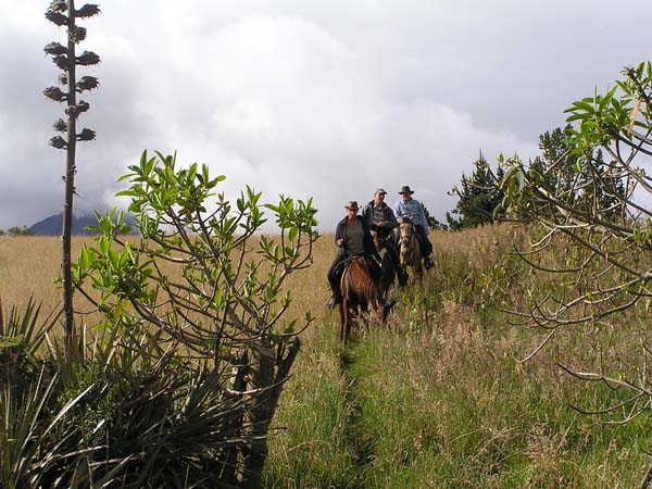 Ecuador horse riding