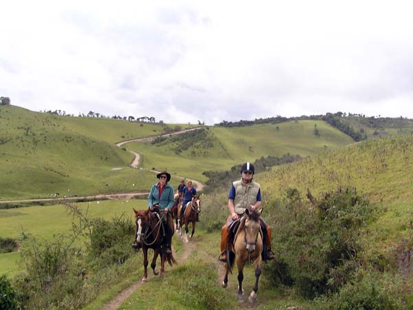 Ecuador horse riding