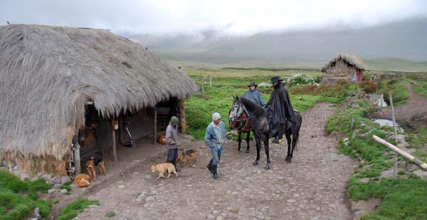 Ecuador horse riding