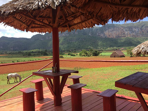 El Corazon del Valle Cafe Cuba horse riding