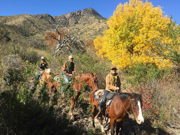 Riding in Arizona in Thanksgiving Equitrekking