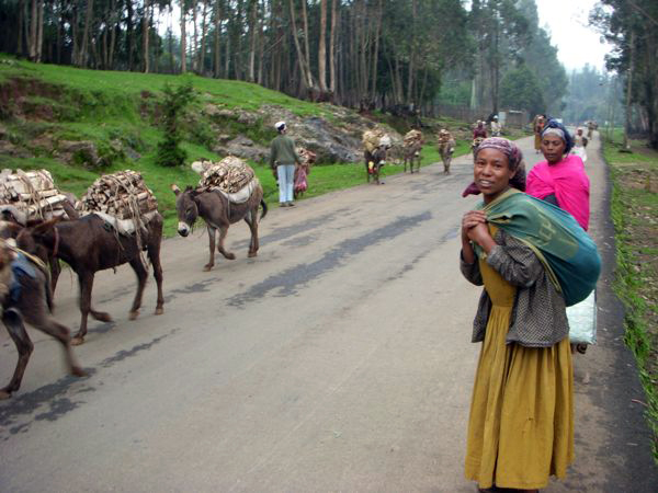 Entoto Mountain, Ethiopia