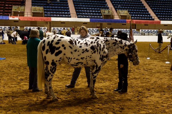 FWSSR