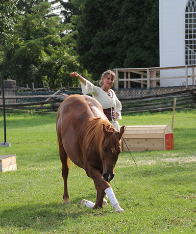 Farrah Green horsemanship retreats Shell Wyoming