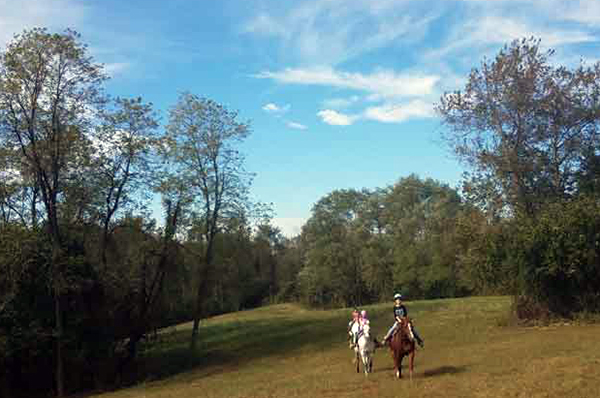 First Farm Inn horseback riding