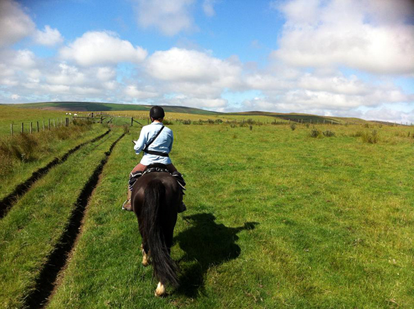 FreeRein Riding Holidays