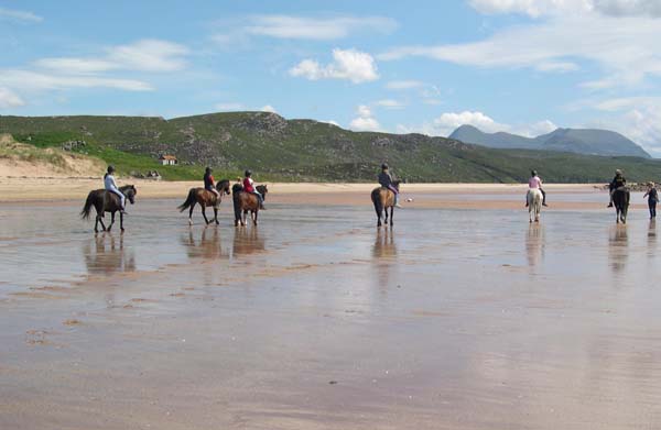 Gairloch Trekking Centre Horseback Riding