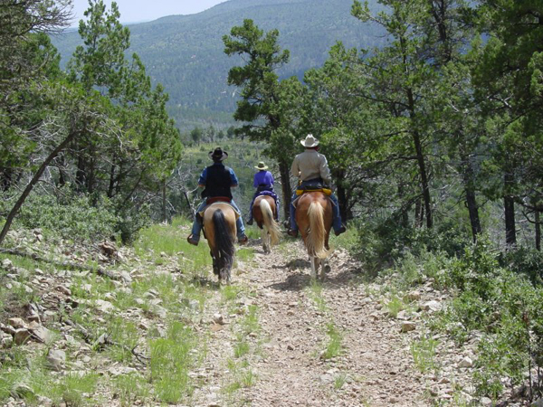Gillespie Ranch Horseback Riding Trails