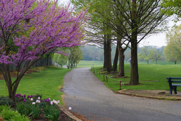 golf course photo