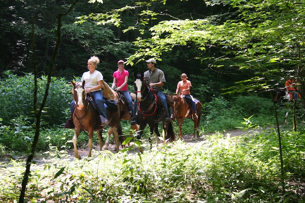 Horse riding Great Smokey Mountains