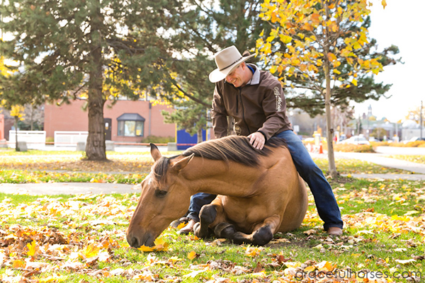 Guy McLean Royal Winter Fair Toronto