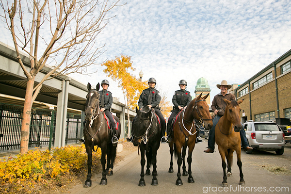 Guy McLean Royal Winter Fair Toronto Mounted Police Horses