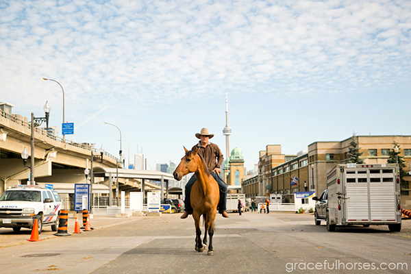 Guy McLean Royal Winter Fair Toronto