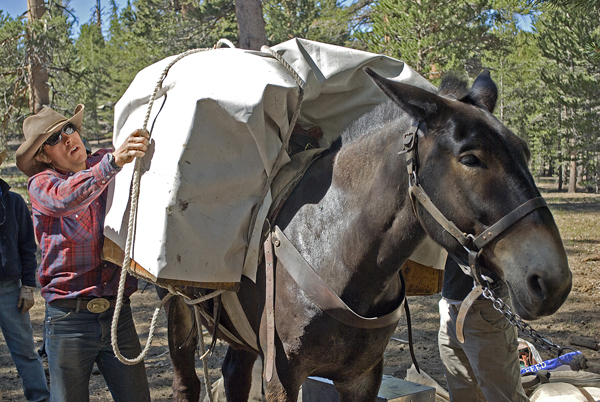 High Sierra horse riding