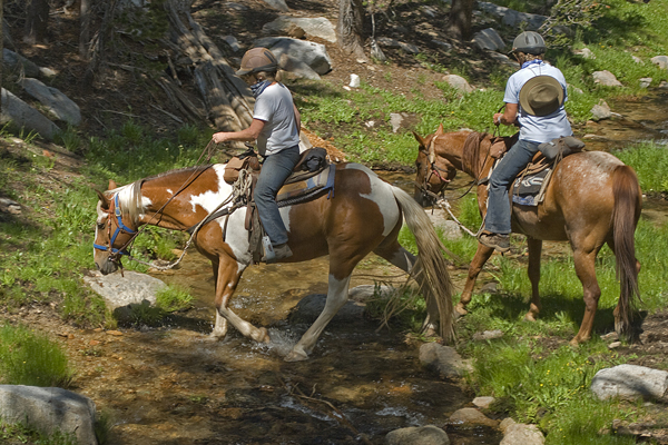 Sierra Mountains horse riding