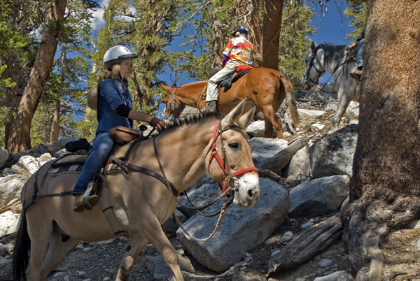 High Sierras horse riding