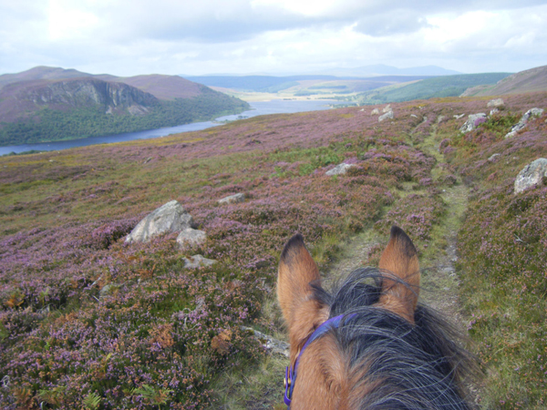 Highlands Unbridled Through The Ears Horse Ride