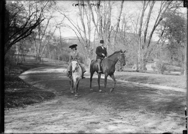 Central Park Horseback Riding