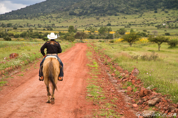 horseback riding mexico