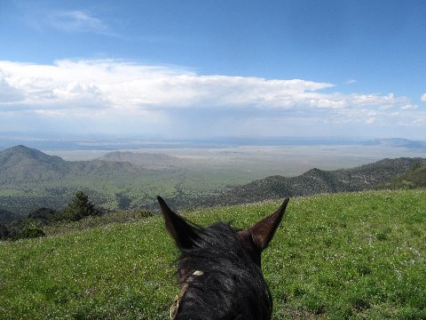 horseback riding views new mexico