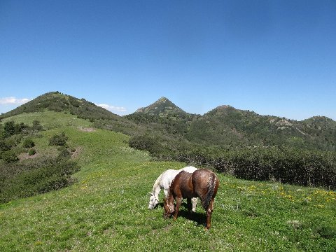 nogal peak new mexico