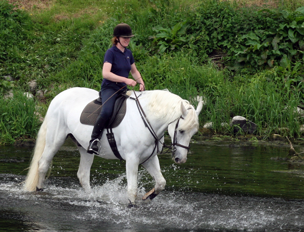 Mount Juliet horse riding