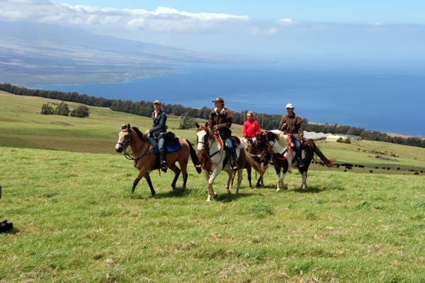 Kauha Ranch, Big Island