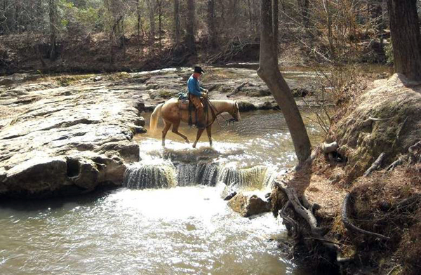 Kisatchie National Forest horse trails