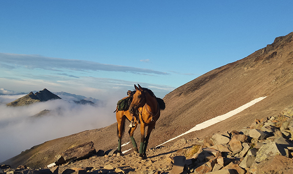 Knifes Edge Washington State Pacific Crest Trail horse riding