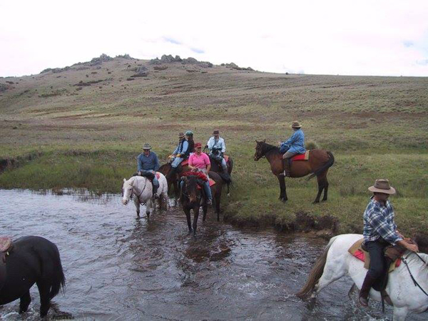 Study Abroad Australia Horseback Riding