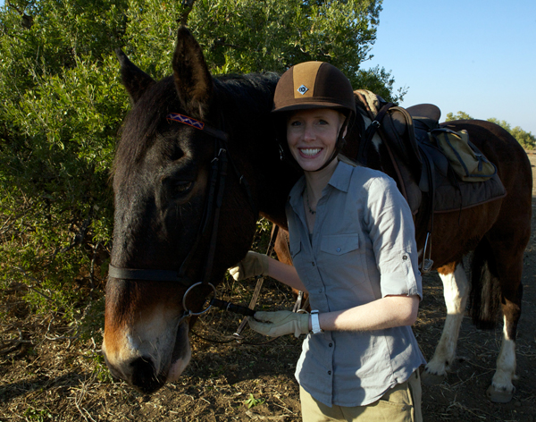 Limpopo Valley horse