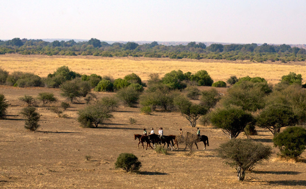 Tuli Region, Botswana landscapes