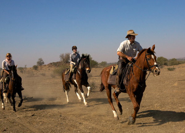 Canters in Limpopo, Botswana