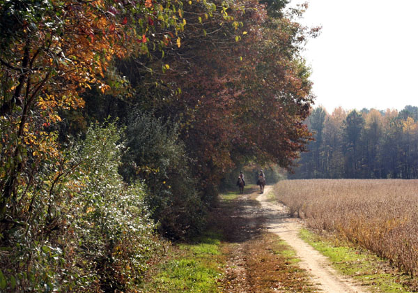 Lums horseback riding delaware