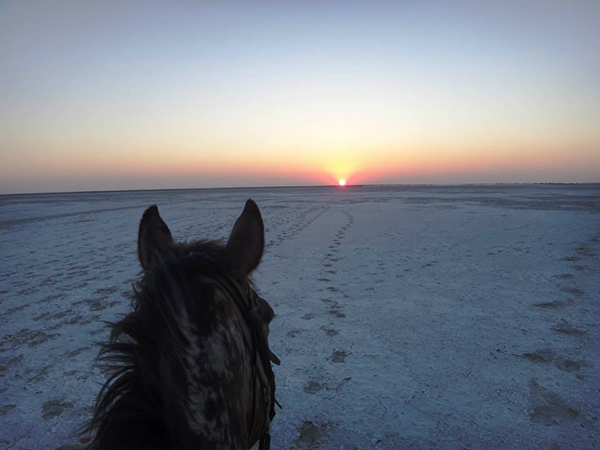 Horse Riding Botswana Salt Pans