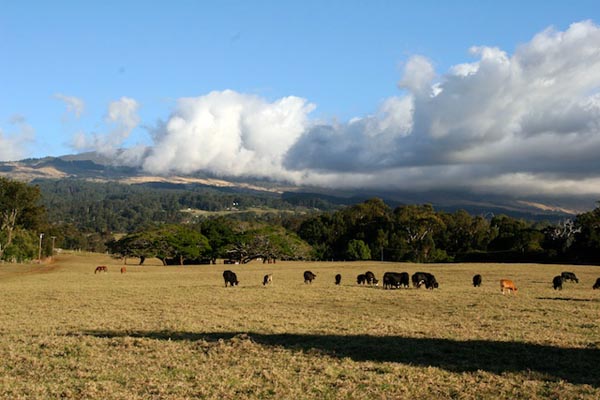 Haleakala Volcano