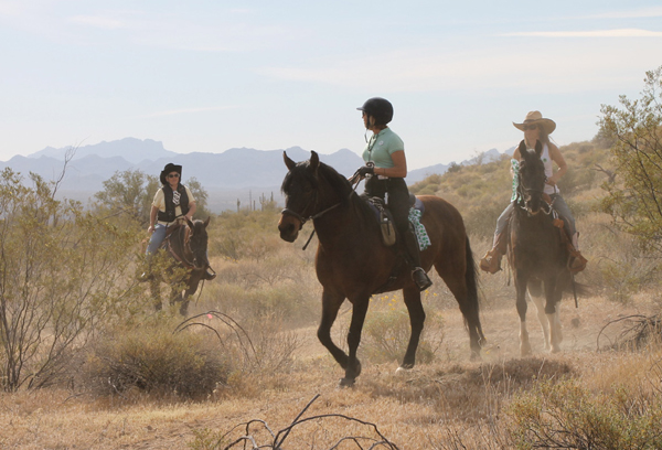 McDowell Sonoran Preserve horse trails arizona